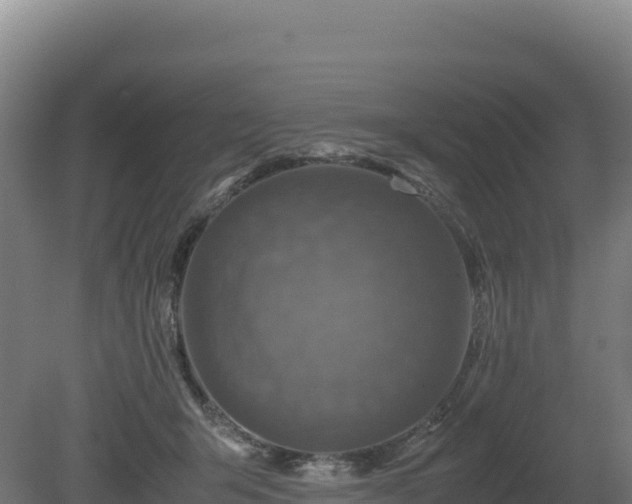 X0000081450415200701191719