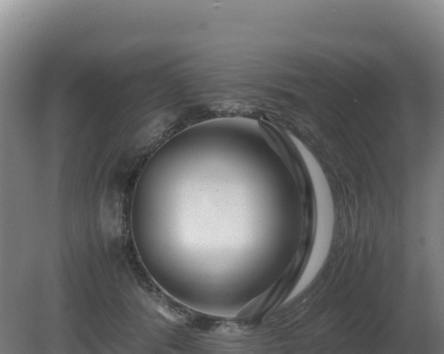 X0000081450416200701191719