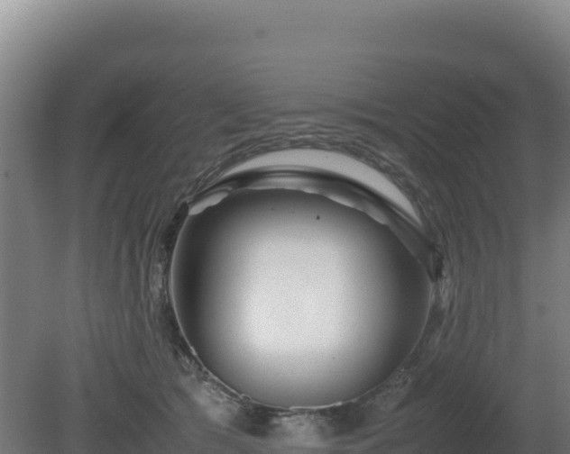 X0000081450417200701191719