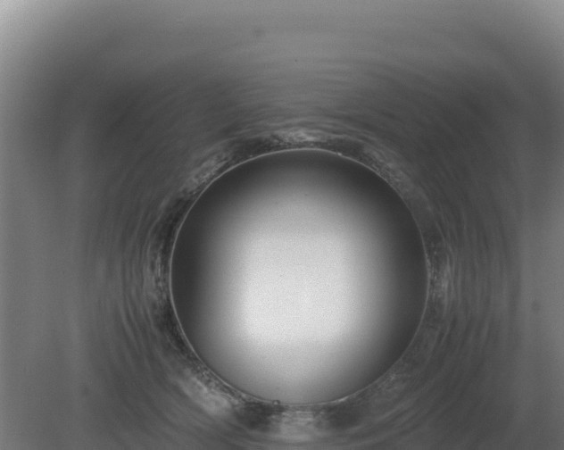 X0000081450418200701191719