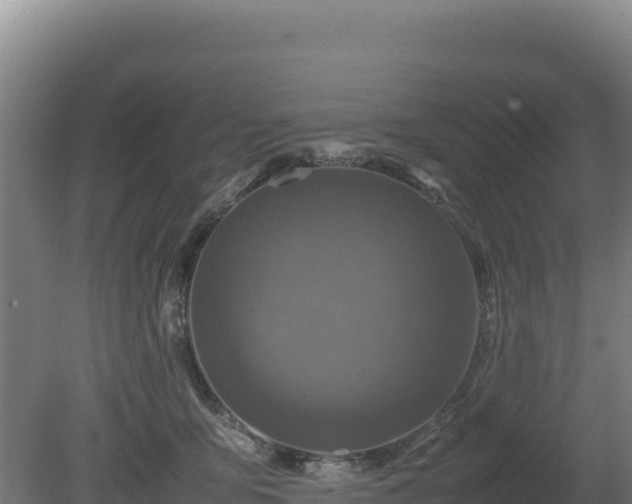 X0000081450419200701191719