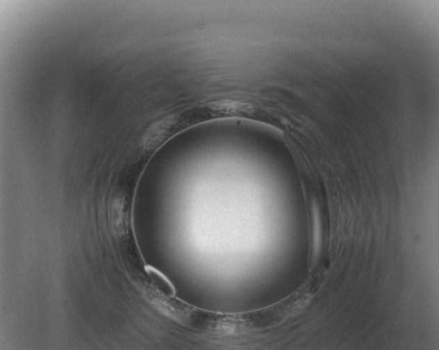 X0000081450420200701191719