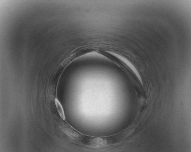 X0000081450421200701191719