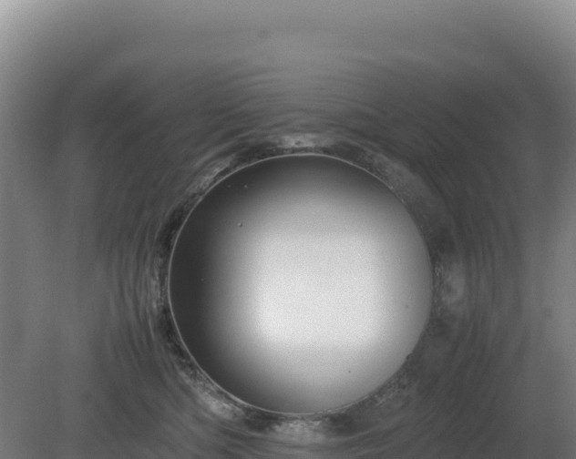 X0000081450422200701191719