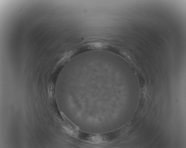 X0000081450423200701191719