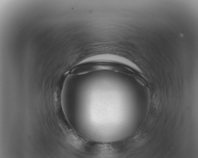 X0000081450424200701191719