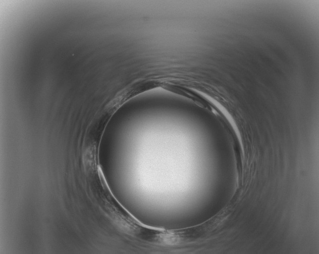 X0000081450425200701191719