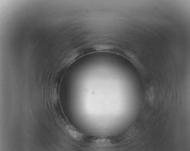 X0000081450426200701191719