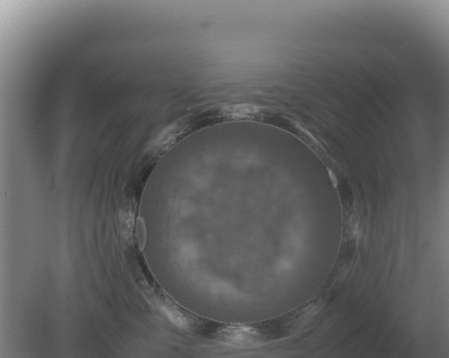 X0000081450427200701191719