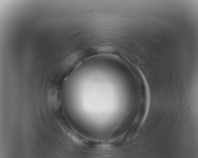 X0000081450428200701191719