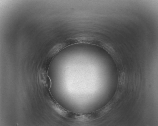 X0000081450430200701191719