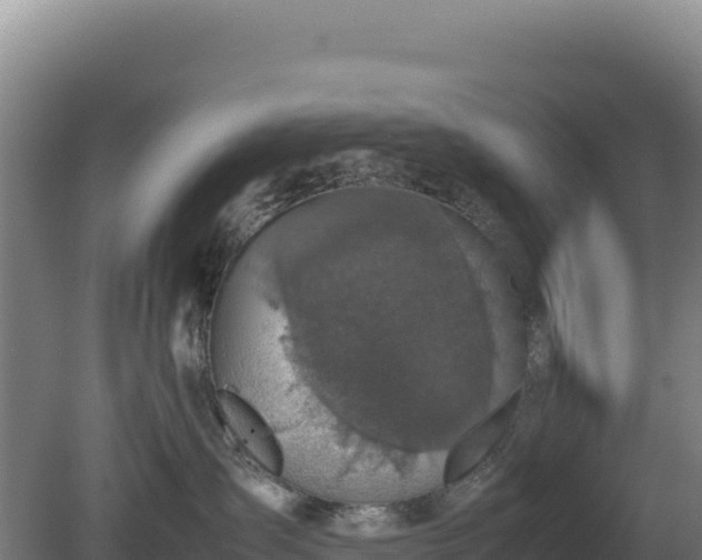 X0000081450431200701191719