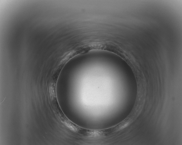 X0000081450432200701191719