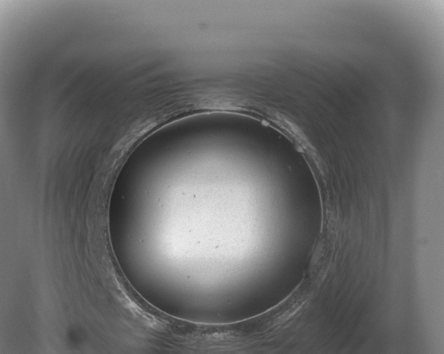 X0000081450433200701191718