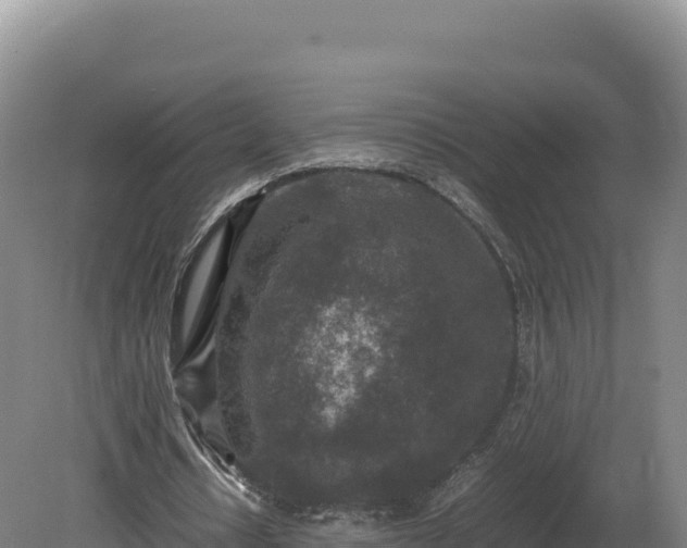 X0000081450434200701191718