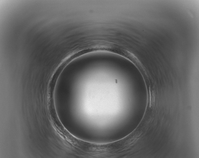 X0000081450435200701191718