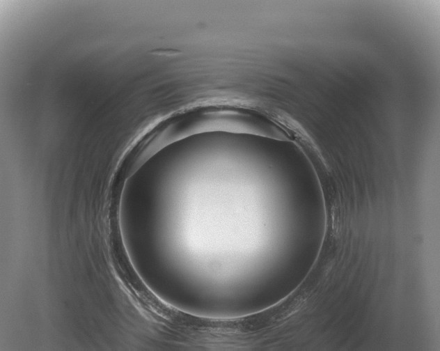 X0000081450436200701191718