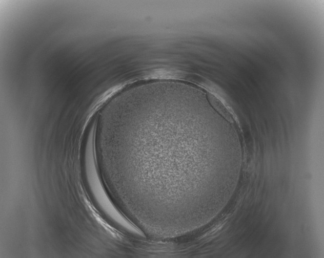 X0000081450437200701191718