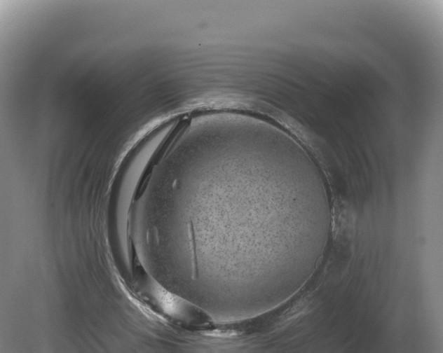 X0000081450438200701191718