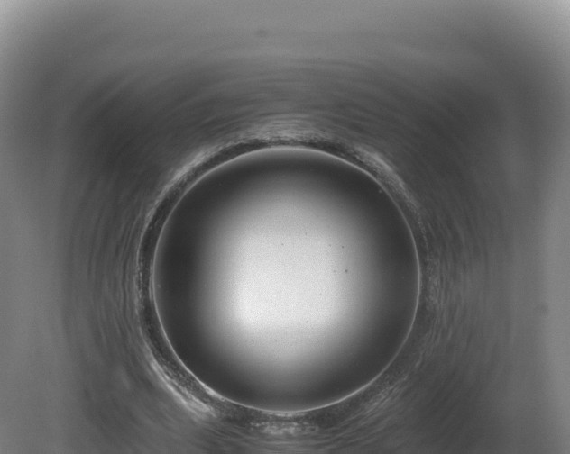 X0000081450439200701191718