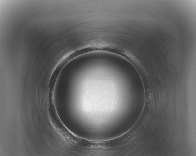 X0000081450440200701191718