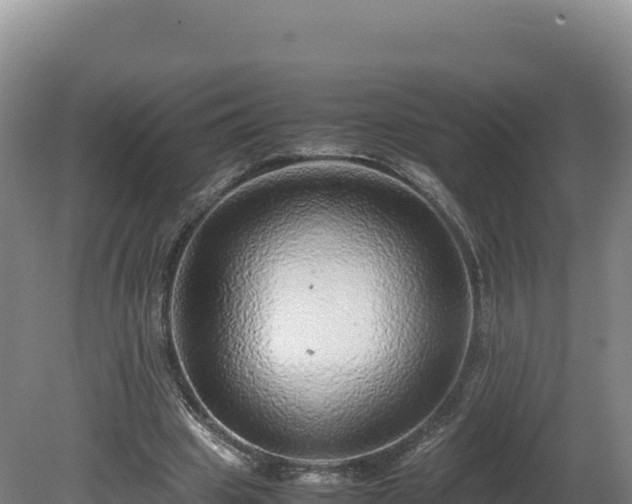 X0000081450441200701191718