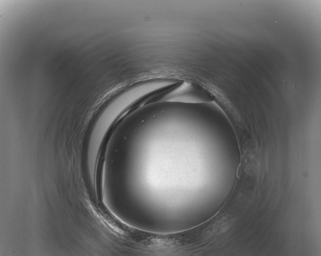 X0000081450442200701191718