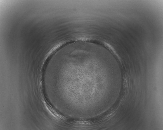 X0000081450443200701191718