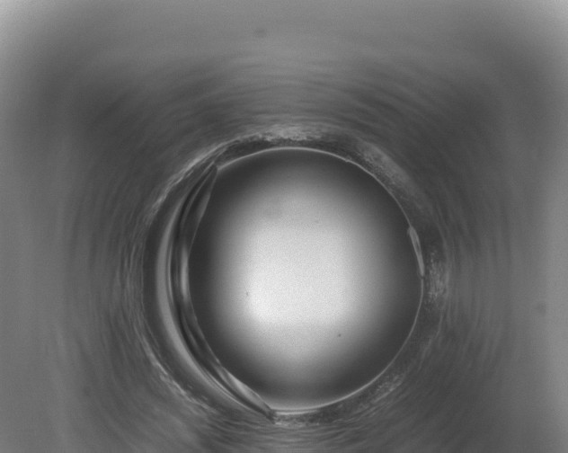 X0000081450444200701191718