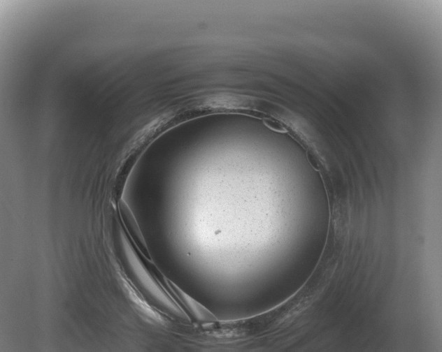 X0000081450445200701191718