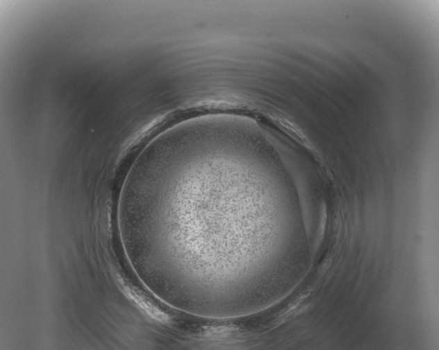 X0000081450446200701191718