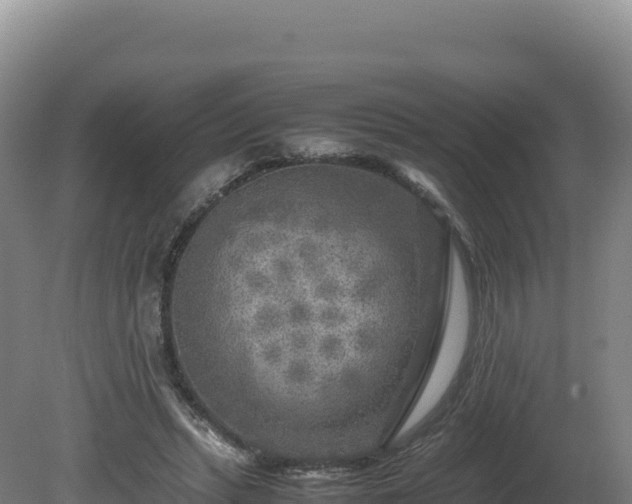 X0000081450447200701191718