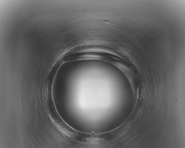 X0000081450448200701191718