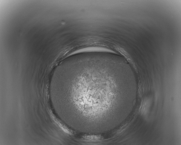 X0000081450449200701191718