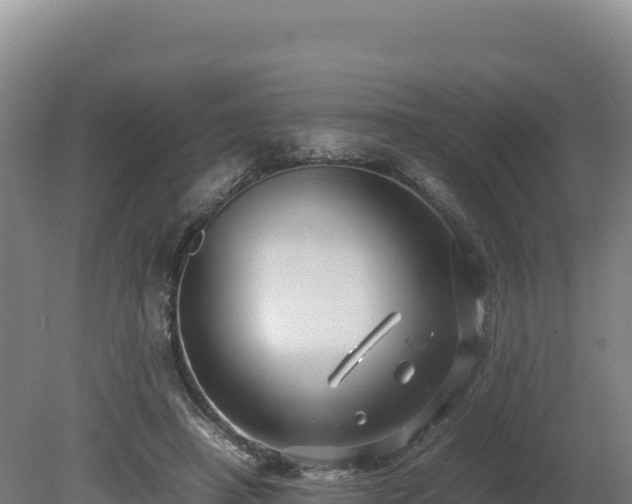 X0000081450450200701191718