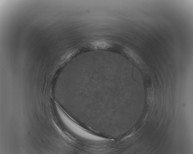 X0000081450451200701191718