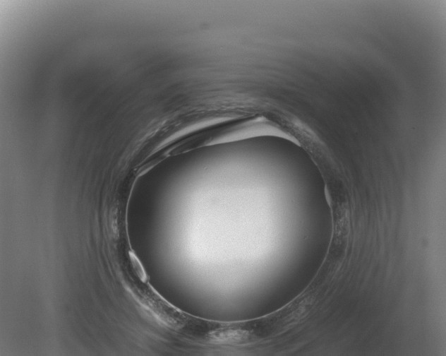 X0000081450452200701191718