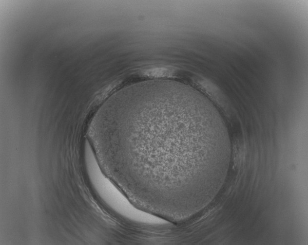 X0000081450453200701191718