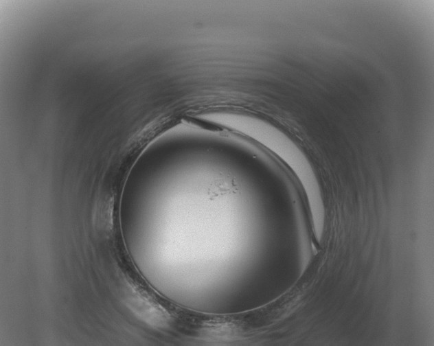 X0000081450454200701191718