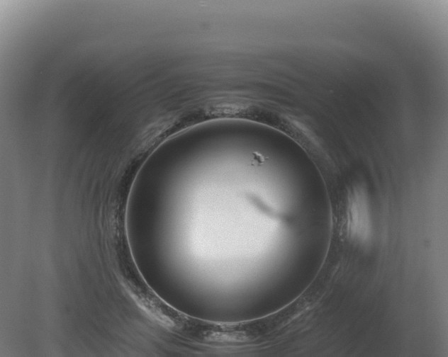 X0000081450455200701191718