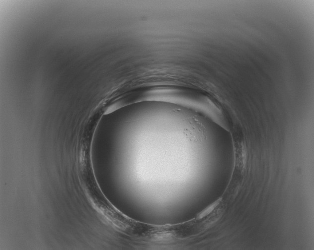 X0000081450456200701191718