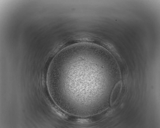 X0000081450457200701191718