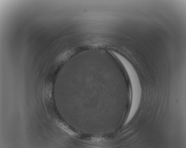 X0000081450458200701191718