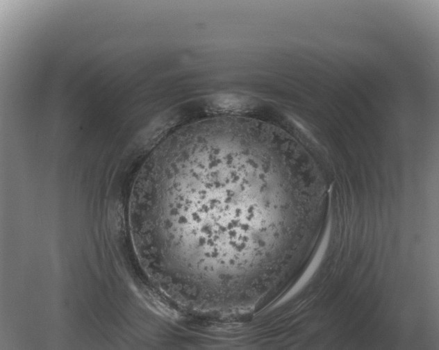 X0000081450459200701191718