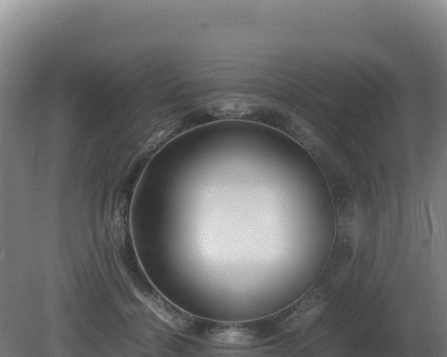 X0000081450460200701191718