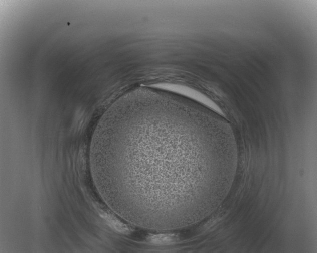 X0000081450461200701191718