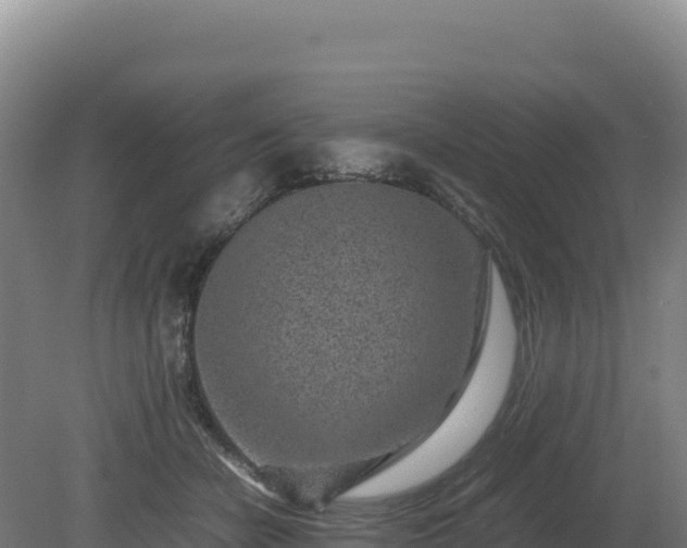 X0000081450462200701191718