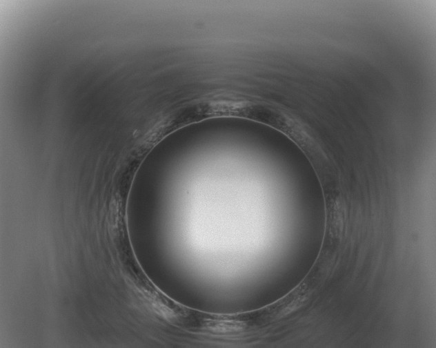 X0000081450463200701191718