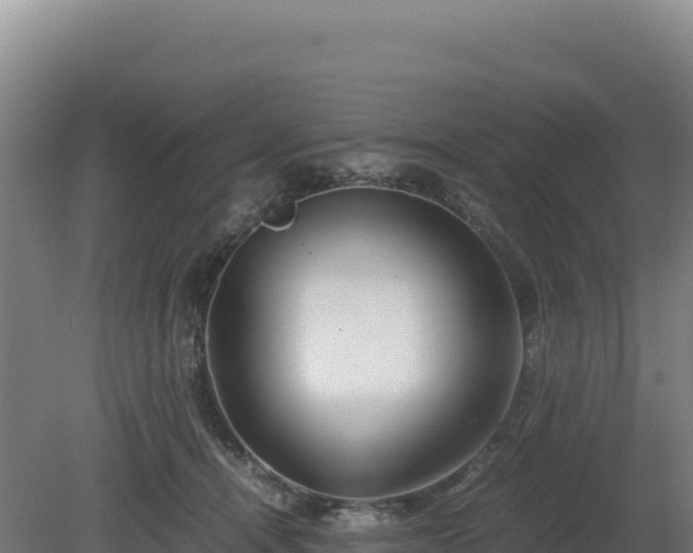 X0000081450464200701191718