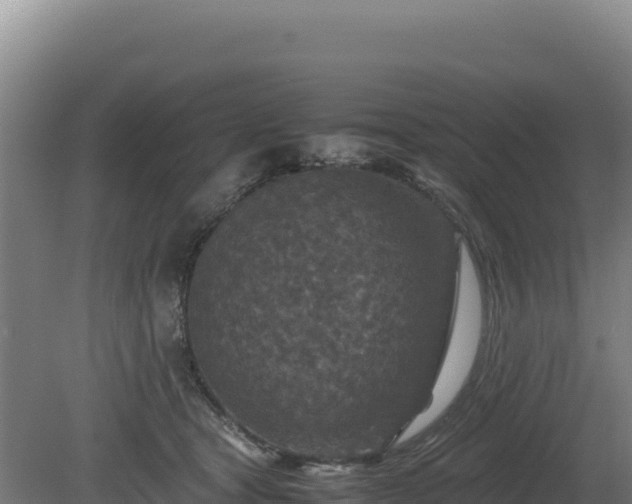 X0000081450465200701191718